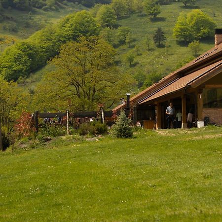 Hostal Rural Iratiko Urkixokoa Pension Orbaiceta Buitenkant foto