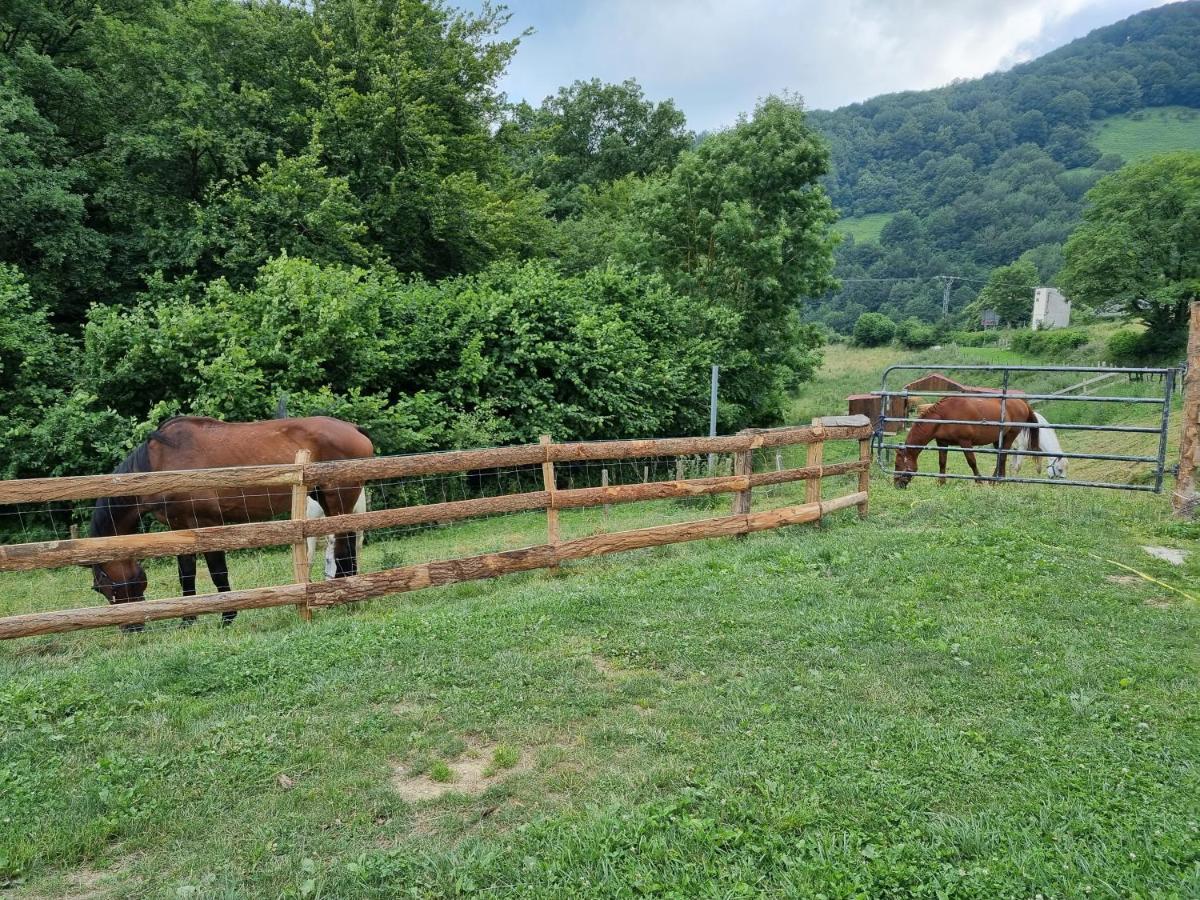 Hostal Rural Iratiko Urkixokoa Pension Orbaiceta Buitenkant foto