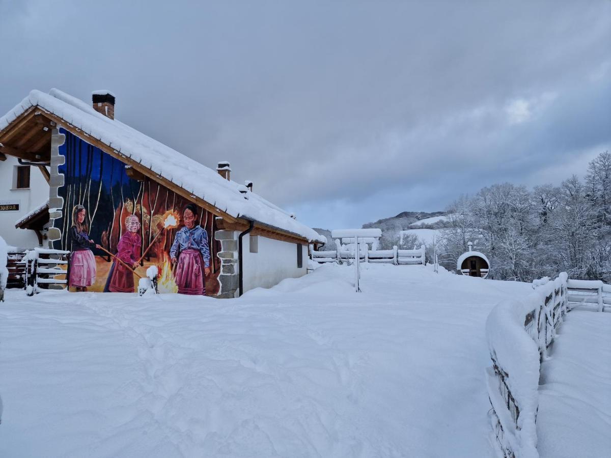 Hostal Rural Iratiko Urkixokoa Pension Orbaiceta Buitenkant foto