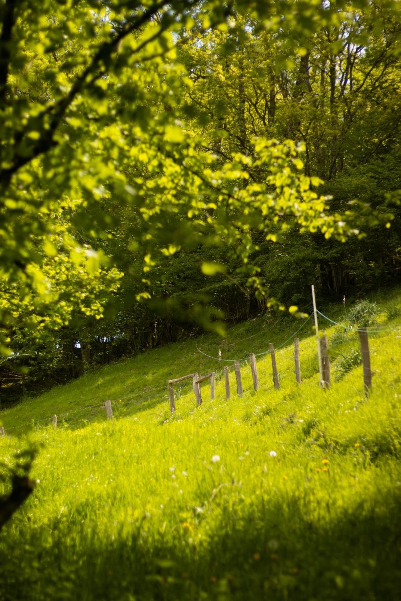 Hostal Rural Iratiko Urkixokoa Pension Orbaiceta Buitenkant foto