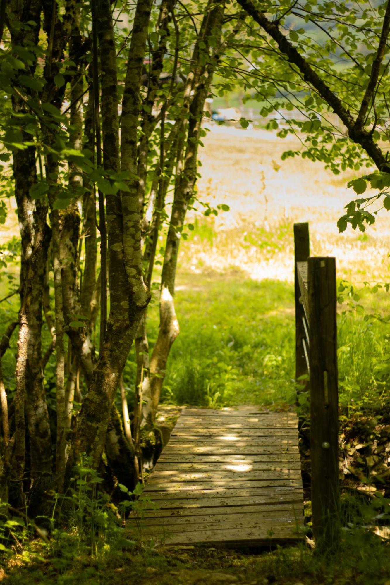 Hostal Rural Iratiko Urkixokoa Pension Orbaiceta Buitenkant foto