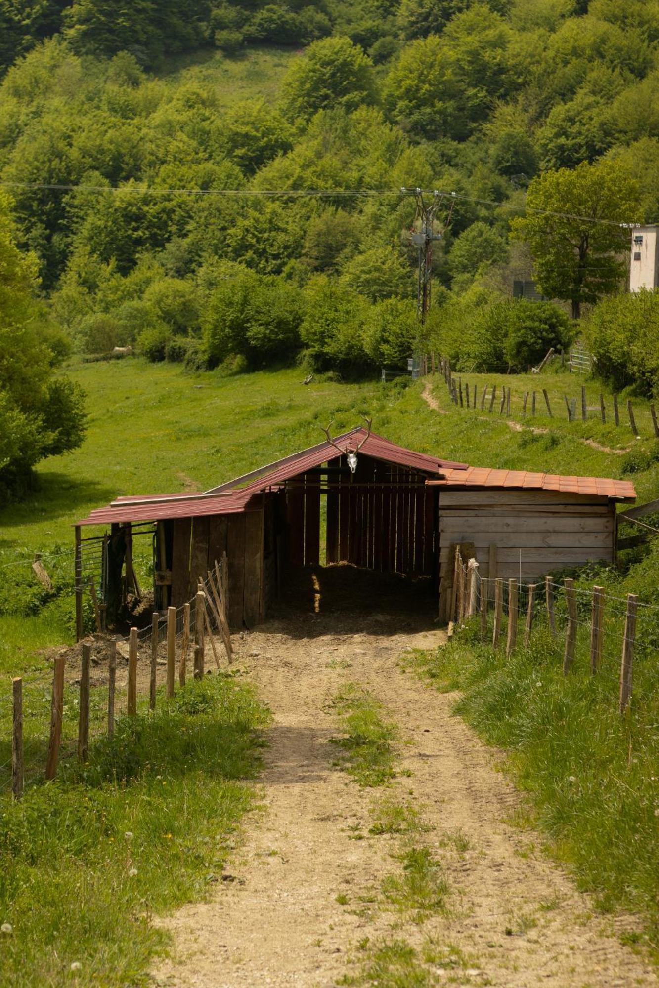 Hostal Rural Iratiko Urkixokoa Pension Orbaiceta Buitenkant foto