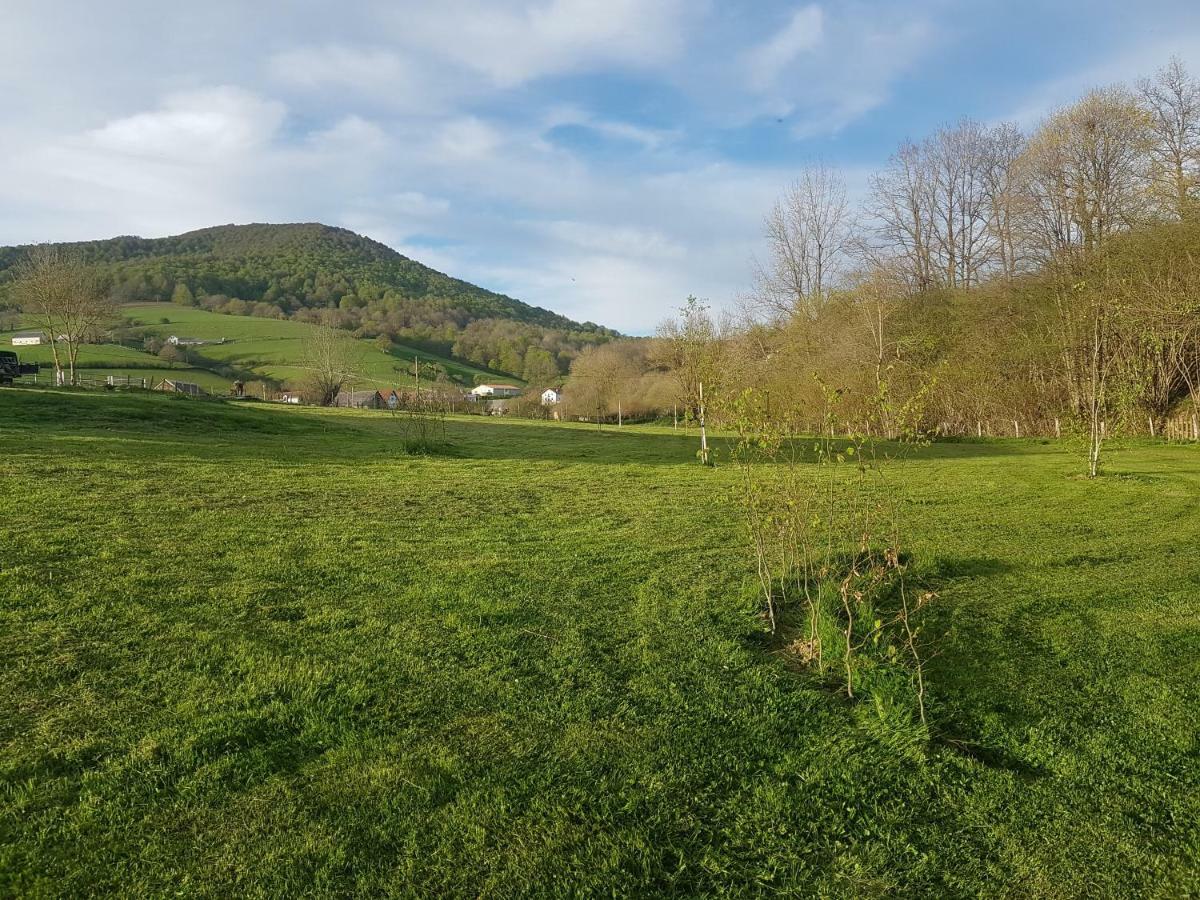 Hostal Rural Iratiko Urkixokoa Pension Orbaiceta Buitenkant foto