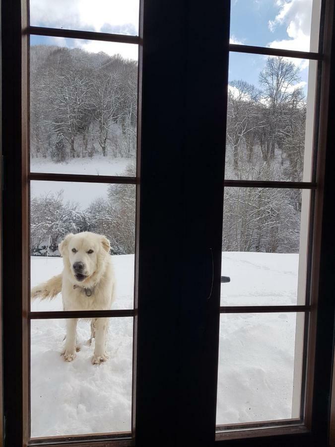 Hostal Rural Iratiko Urkixokoa Pension Orbaiceta Buitenkant foto