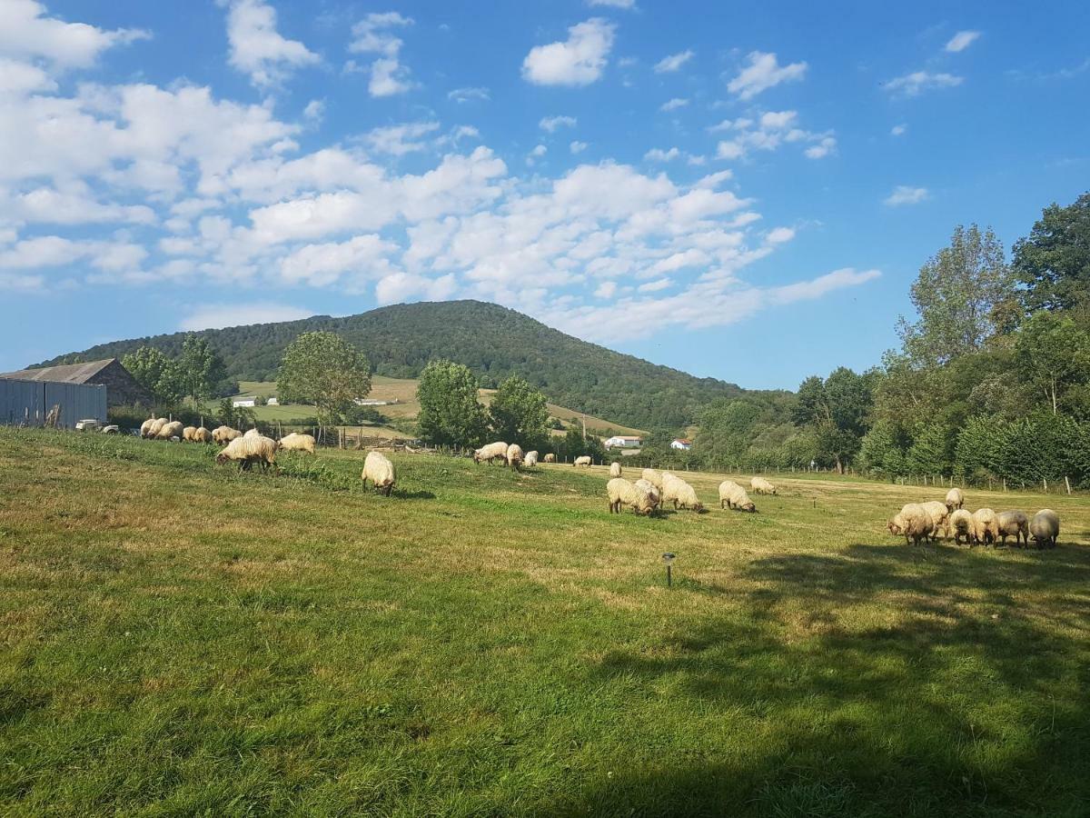 Hostal Rural Iratiko Urkixokoa Pension Orbaiceta Buitenkant foto